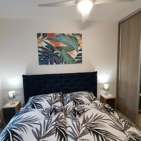 Molly Apartment